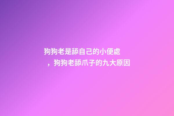 狗狗老是舔自己的小便處，狗狗老舔爪子的九大原因-第1張-觀點-玄機派
